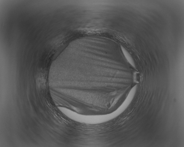 X0000082931300200702222209