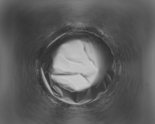 X0000082931301200702222209