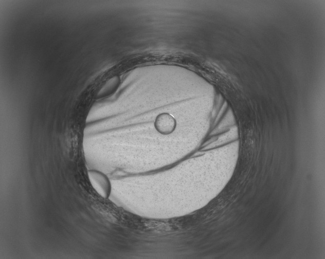 X0000082931302200702222209