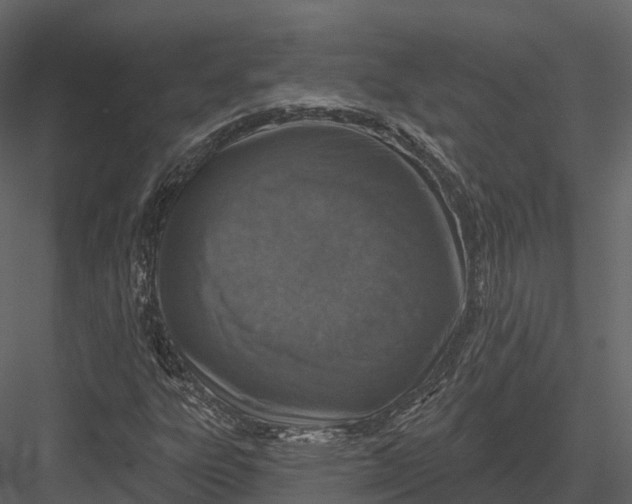 X0000082931303200702222209