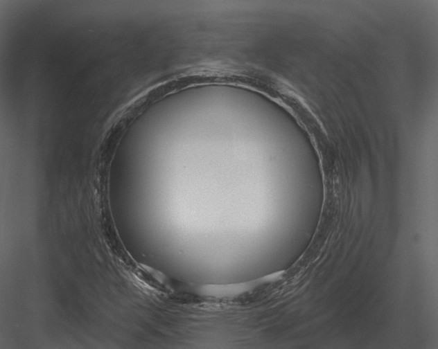 X0000082931304200702222209