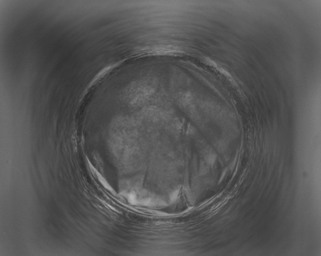 X0000082931306200702222209