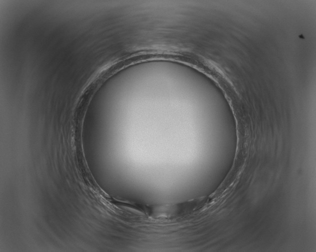 X0000082931307200702222209