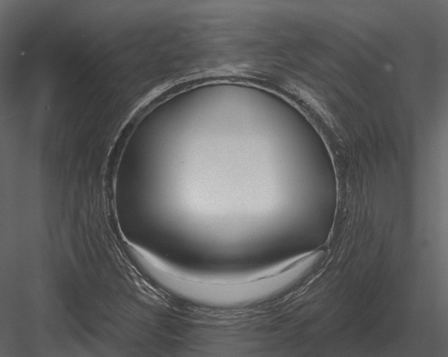 X0000082931308200702222209