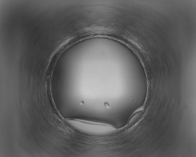 X0000082931309200702222209