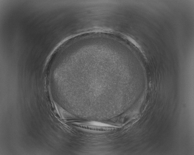 X0000082931310200702222209