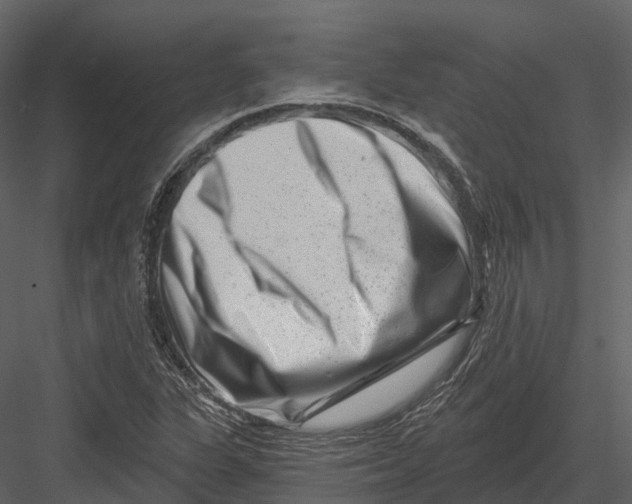 X0000082931311200702222209