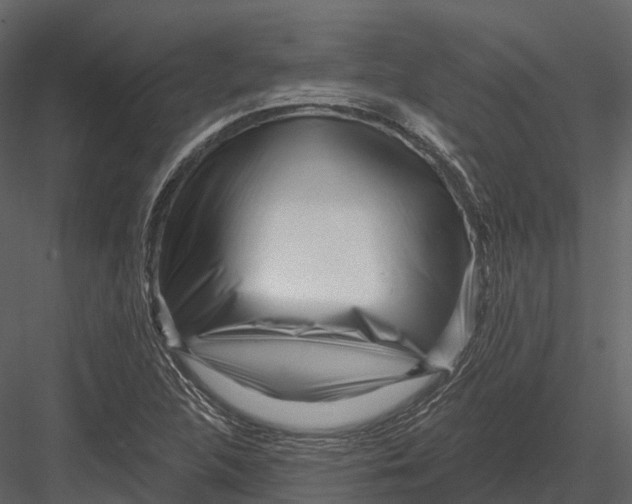 X0000082931312200702222209