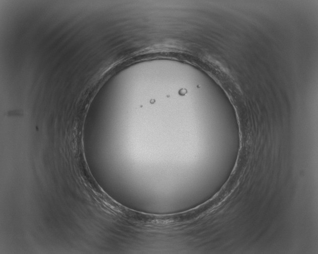 X0000082931313200702222209