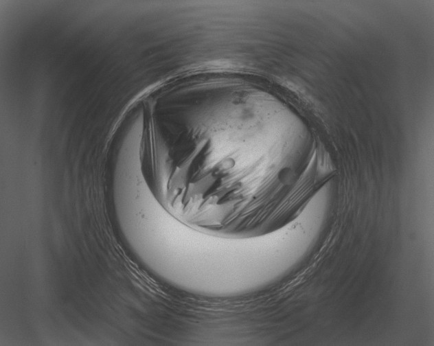 X0000082931314200702222209