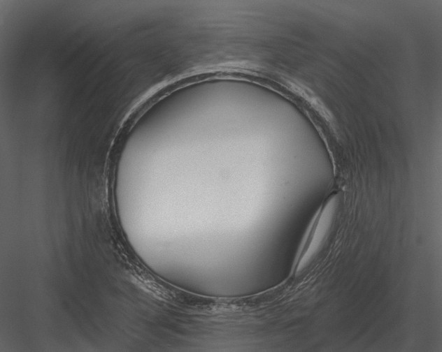 X0000082931316200702222209