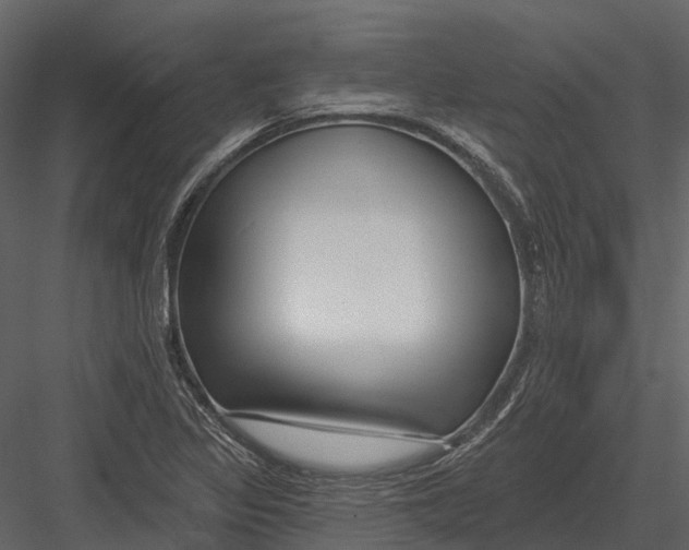 X0000082931317200702222209