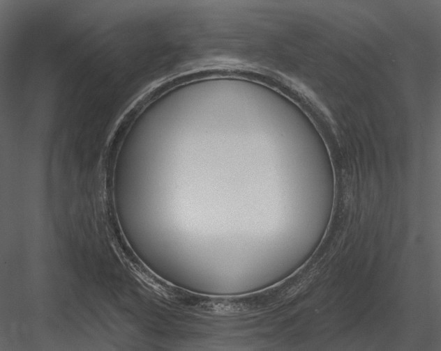 X0000082931318200702222209