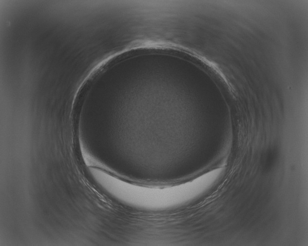 X0000082931319200702222209