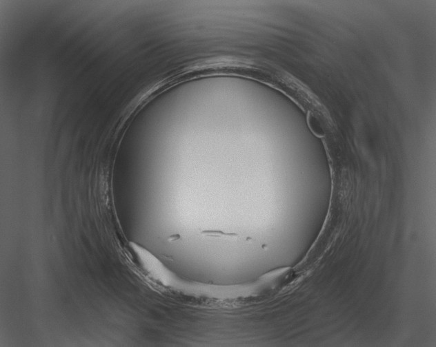 X0000082931321200702222209