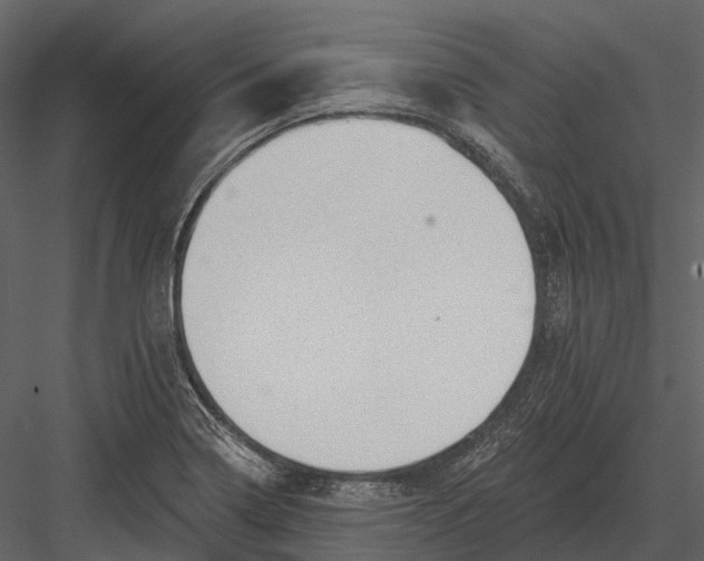 X0000082931322200702222209