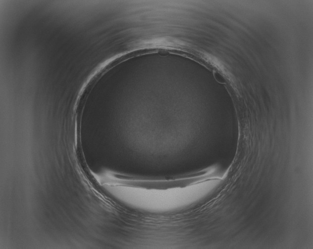 X0000082931323200702222209