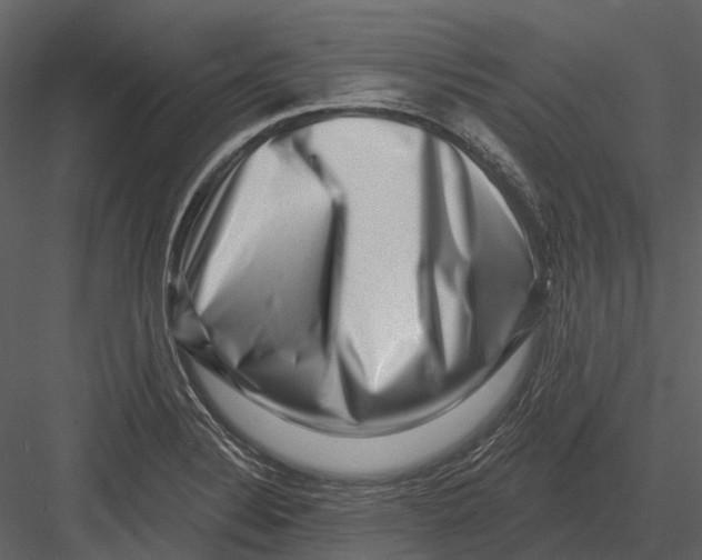 X0000082931324200702222209