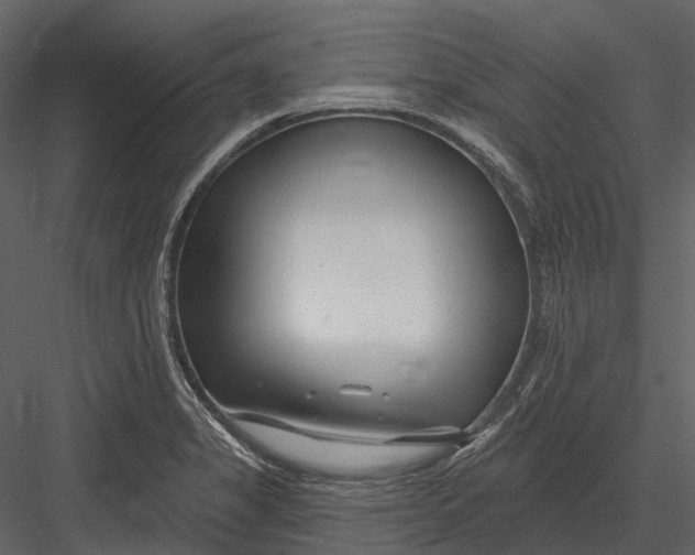 X0000082931325200702222209