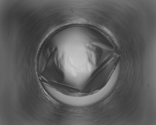 X0000082931326200702222209