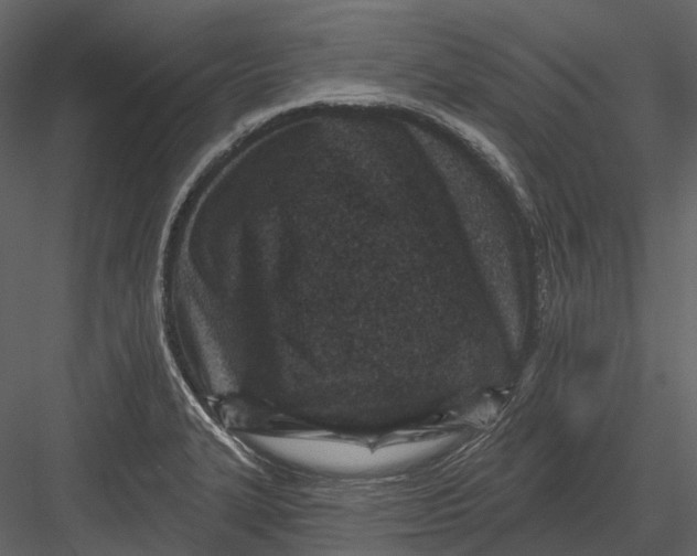 X0000082931327200702222209