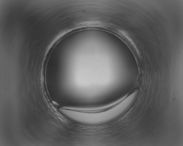 X0000082931328200702222209