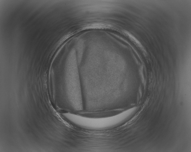 X0000082931329200702222209