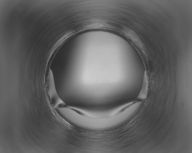 X0000082931330200702222209