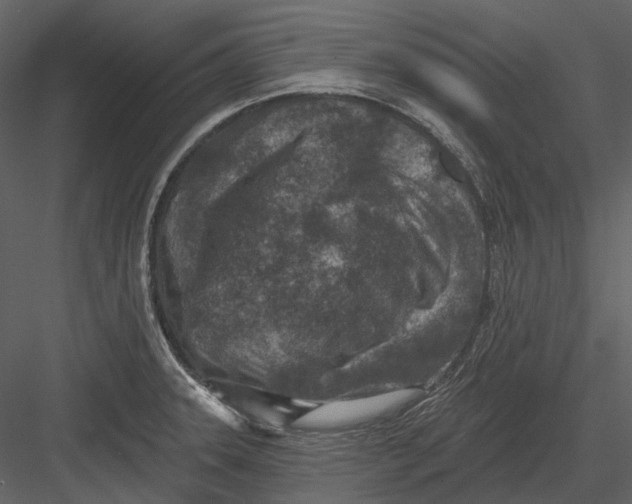 X0000082931331200702222209