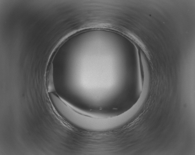 X0000082931332200702222209