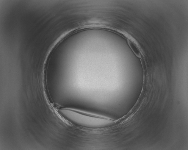 X0000082931333200702222209