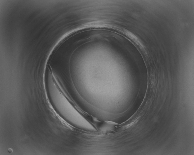 X0000082931334200702222209