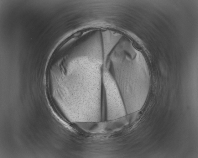 X0000082931335200702222209