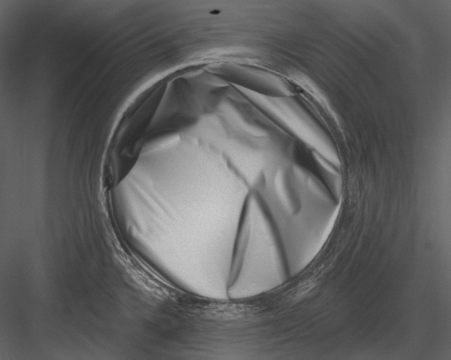 X0000082931336200702222209