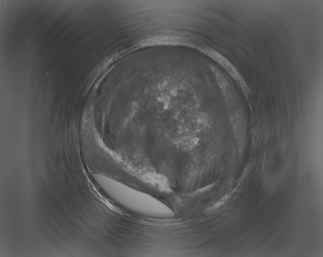 X0000082931337200702222209