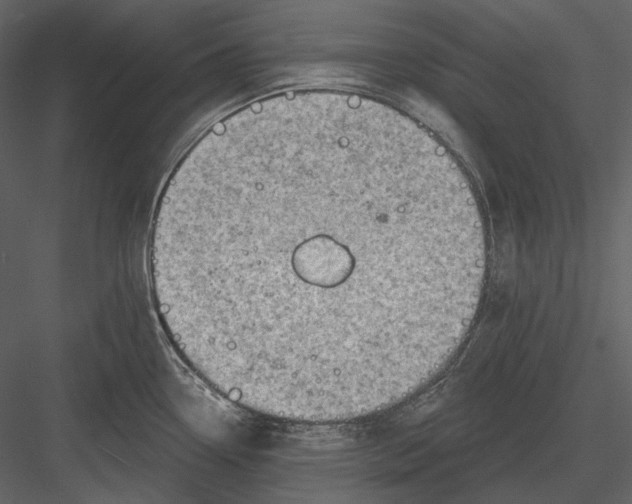 X0000082931338200702222209