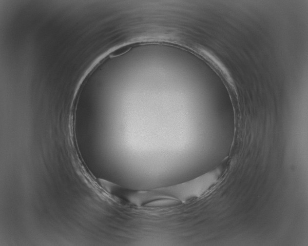 X0000082931340200702222209