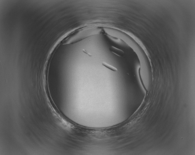 X0000082931341200702222209