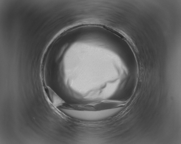 X0000082931342200702222209