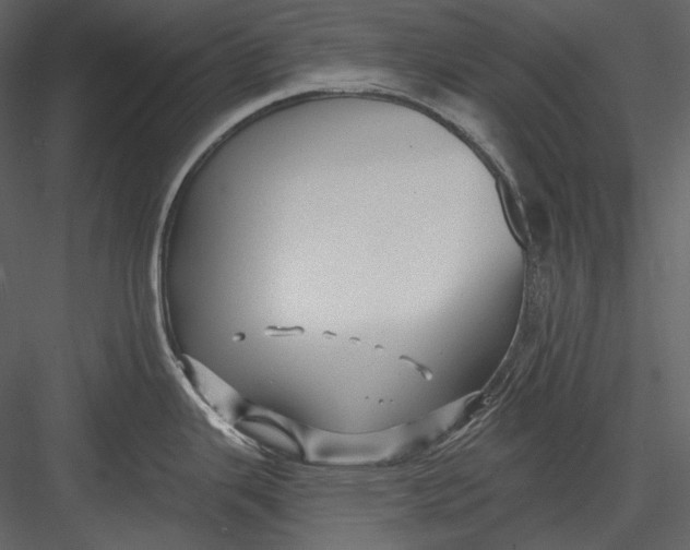 X0000082931343200702222209