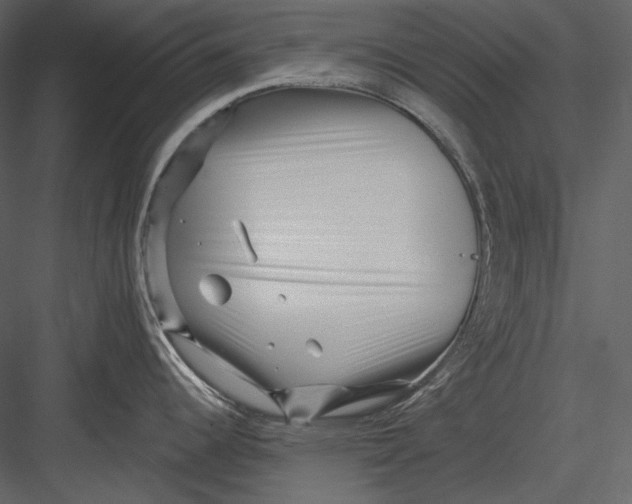 X0000082931344200702222209