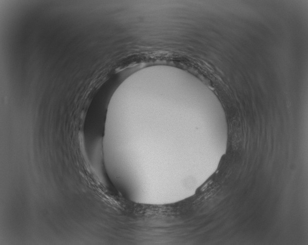 X0000082931345200702222209