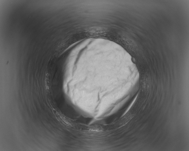 X0000082931346200702222209