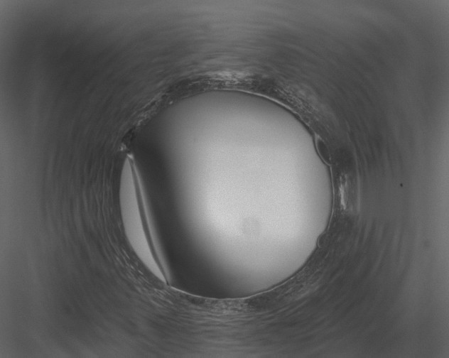 X0000082931347200702222208