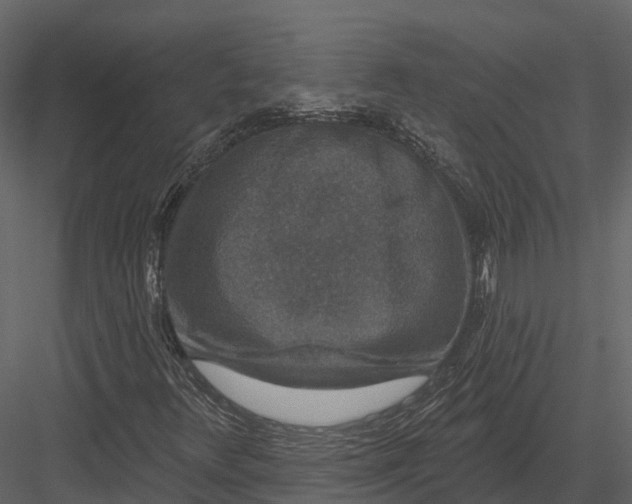 X0000082931348200702222208