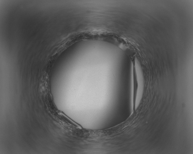 X0000082931349200702222208