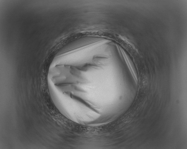 X0000082931350200702222208