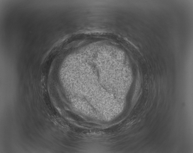 X0000082931351200702222208