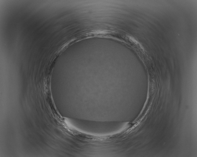 X0000082931353200702222208