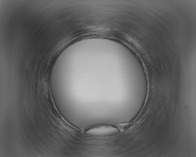 X0000082931354200702222208